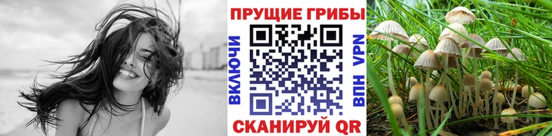 Псилоцибиновые грибы GOLDEN TEACHER  хочу   Реутов 