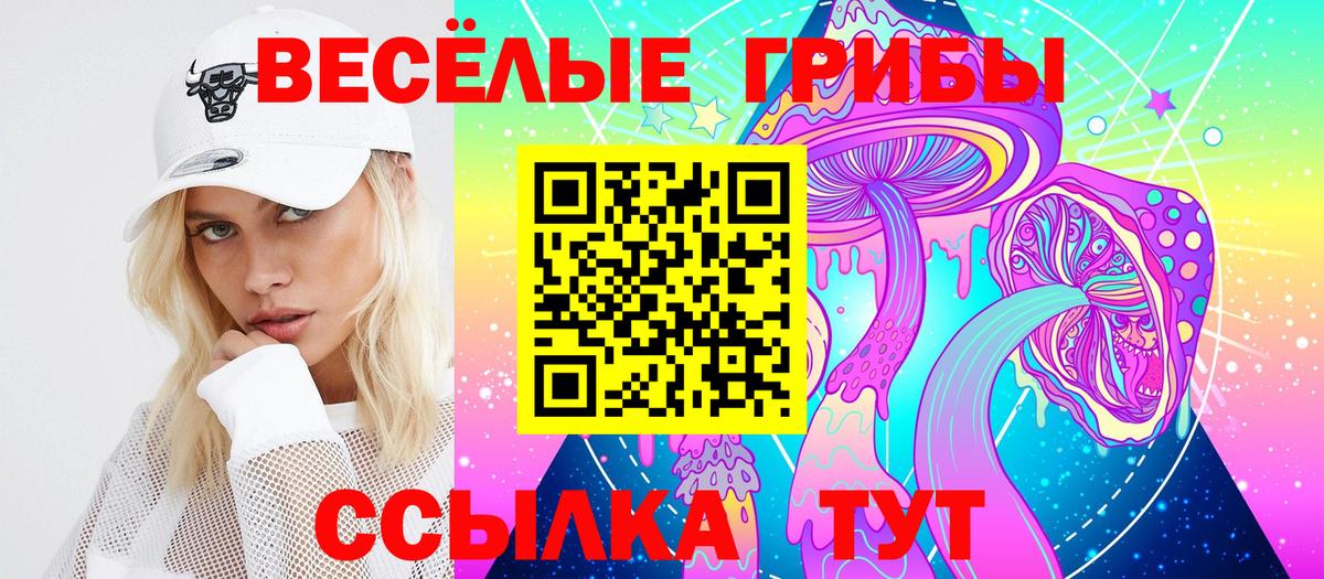 Псилоцибиновые грибы Psilocybine cubensis  Вход с VPN  Реутов 